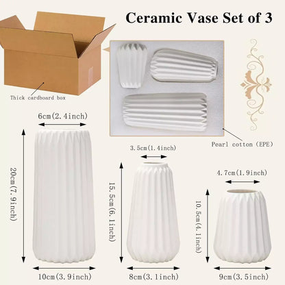 Jeriah Ceramic Vase Set (3 Pcs) - White